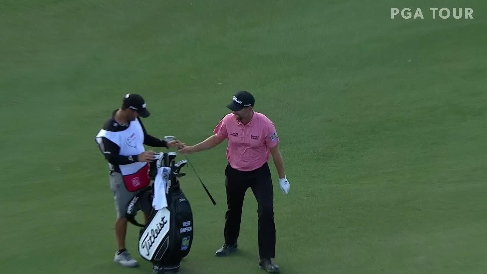 Webb Simpson's impressive pitch-in eagle at Hero