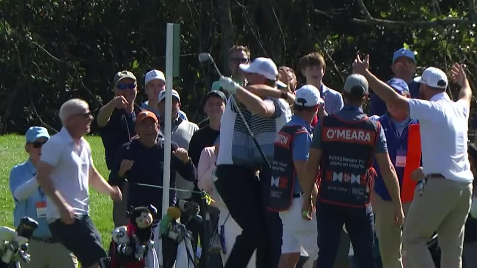 Paddy Harrington's ridiculous hole-in-one at PNC Championship