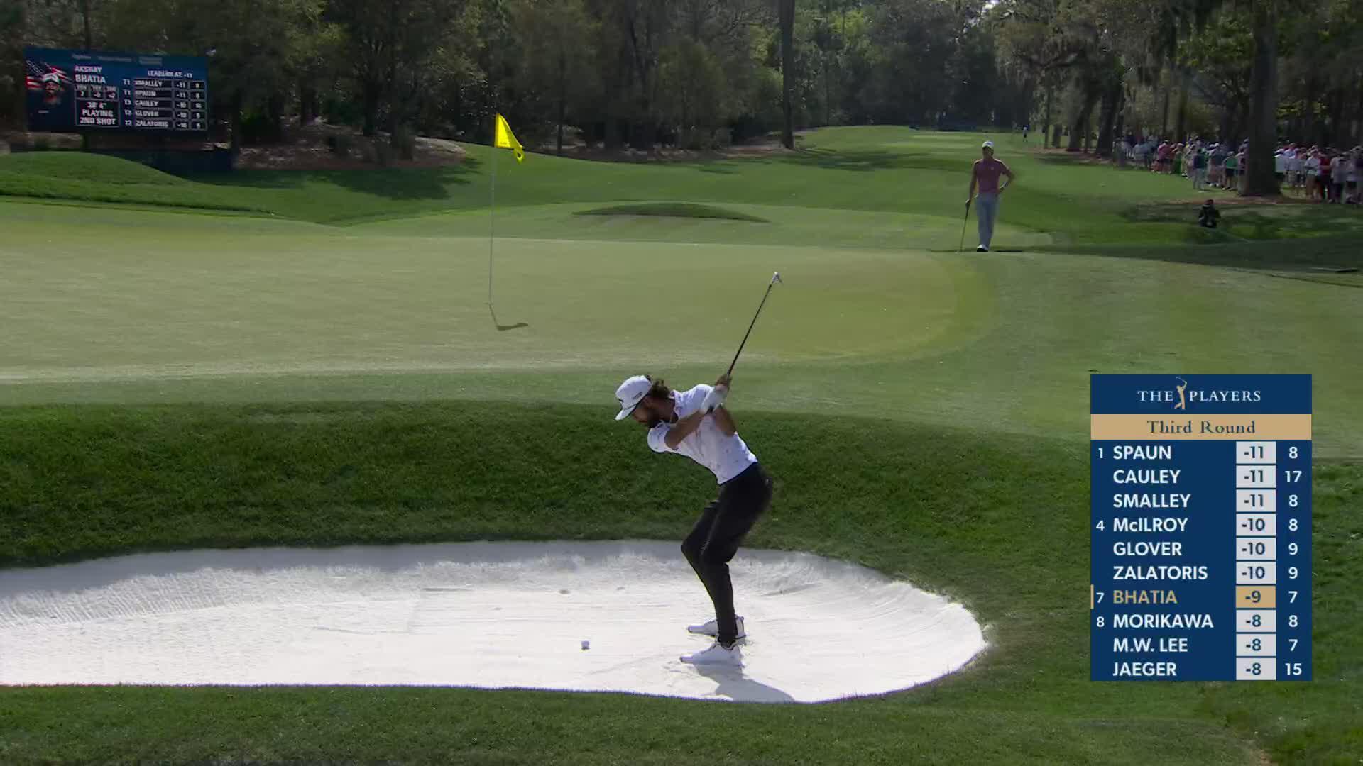 Akshay Bhatia's bunker birdie hole-out on No. 8 at THE PLAYERS