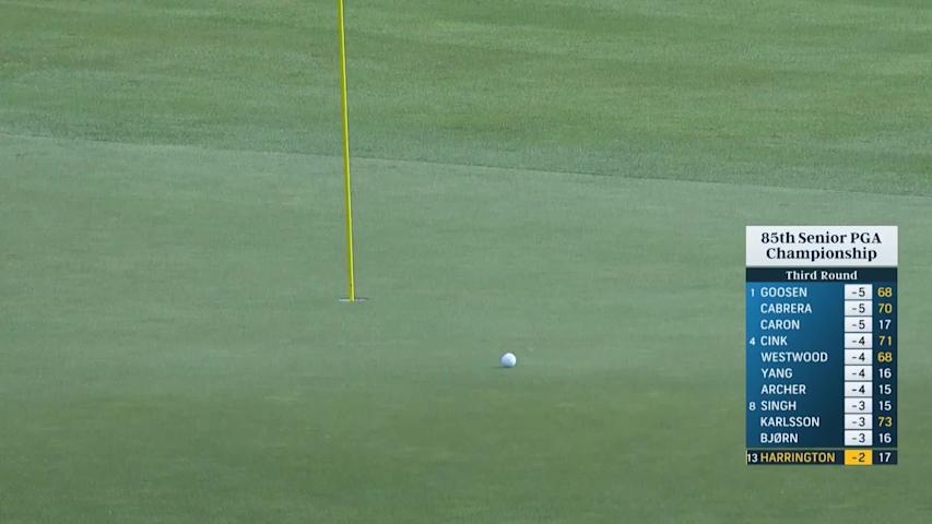 Padraig Harrington's masterful escape from tall grass and birdie at Senior PGA