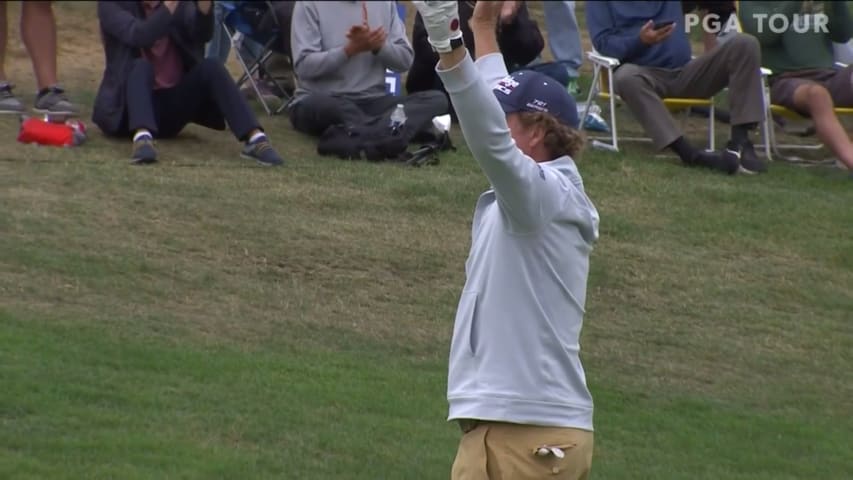 Tim Petrovic chips in for birdie at Boeing Classic