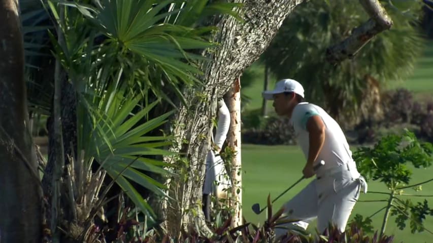 Whee Kim makes an all-world birdie from termite mound