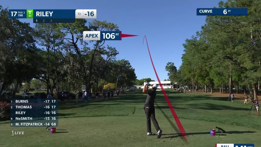 Davis Riley sticks tee shot for clutch birdie at Valspar