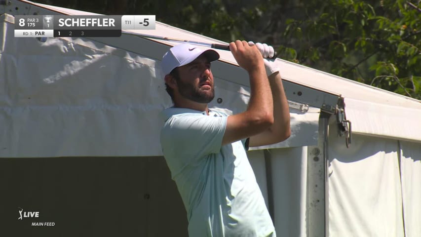 Scottie Scheffler makes birdie on No. 8 at FedEx St. Jude