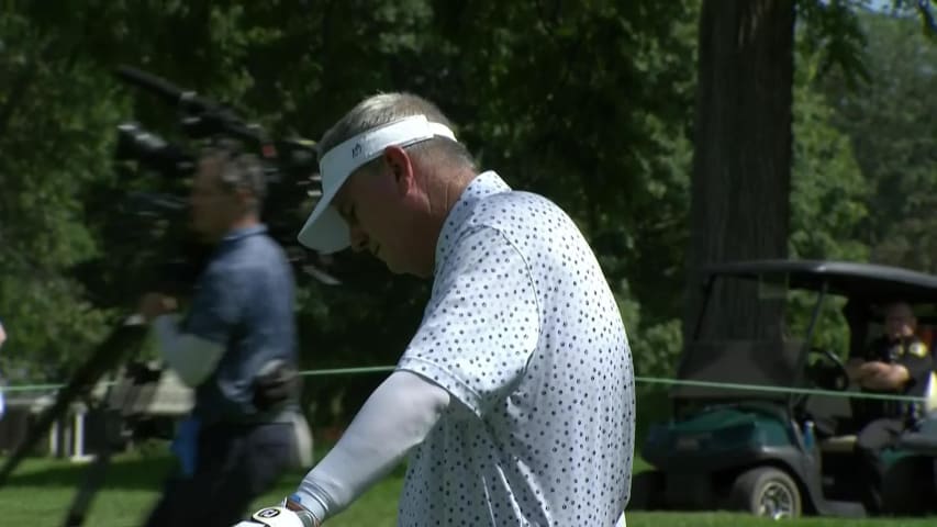 Paul Goydos makes birdie putt on No. 15 at Ally Challenge