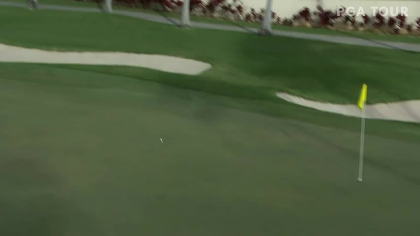 Davis Love III sticks approach to set up birdie at Sony Open