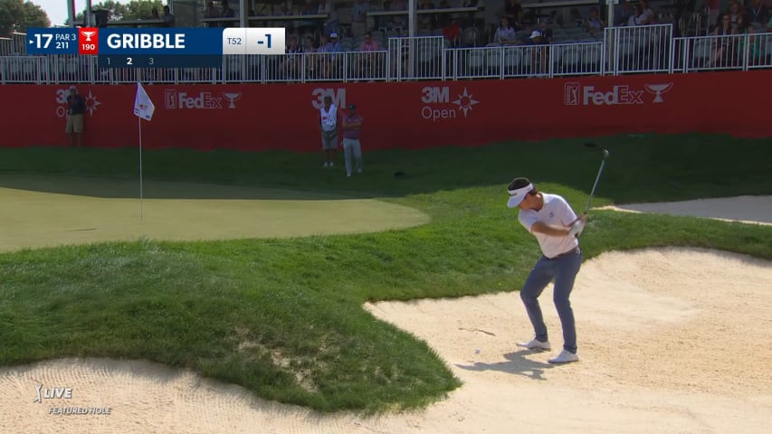 Cody Gribble chips in from greenside bunker for birdie at 3M Open