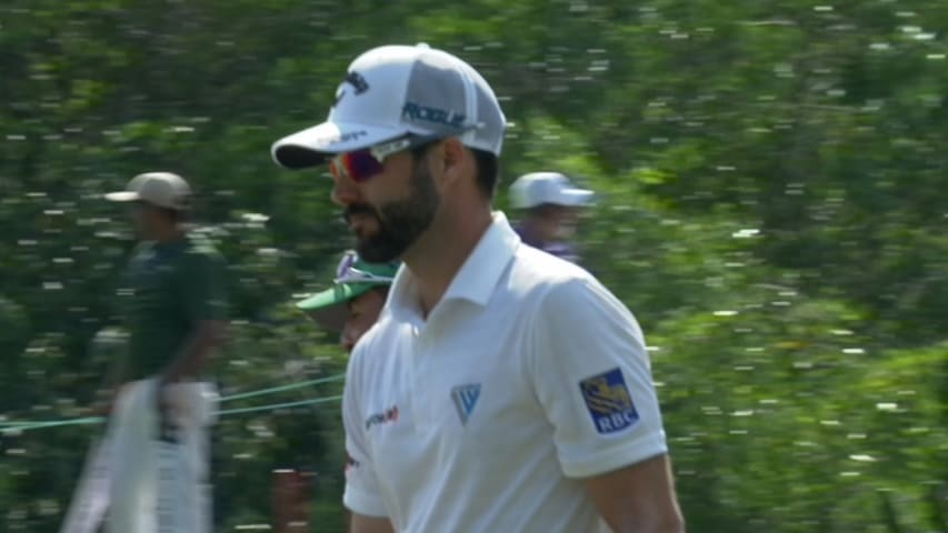 Adam Hadwin chips in for birdie at Mayakoba