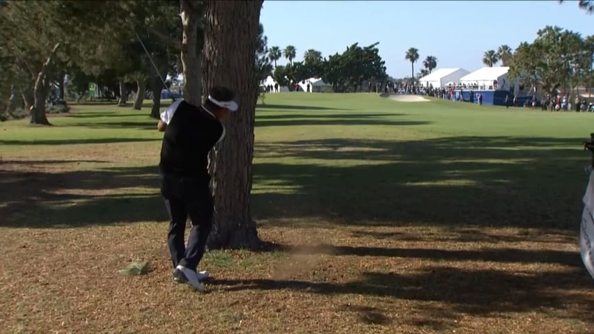 K.J. Choi nearly holes out from behind a tree to set up birdie at Hoag Classic