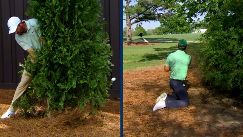 Best escape shots of the 2024 FedExCup Regular Season