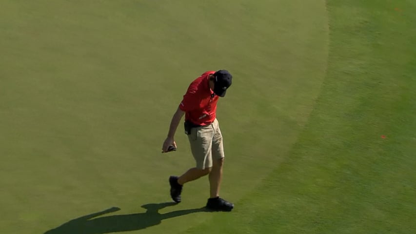 Turtle rescued from green at Travelers Championship