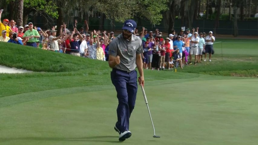 Adam Hadwin makes birdie from a different area code at Valspar