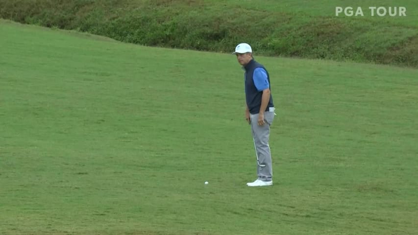 David Toms chips in for eagle at SAS Championship 