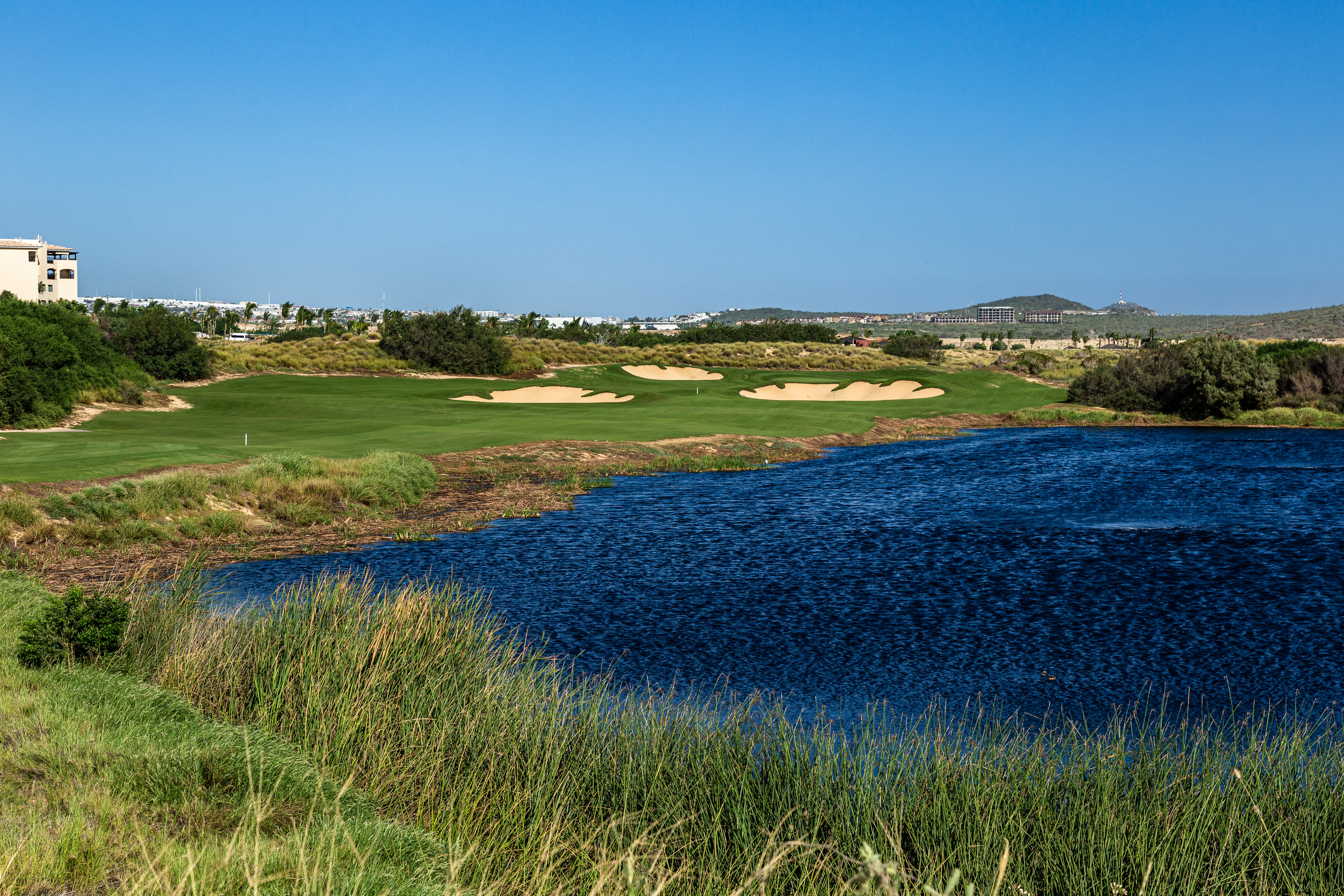 The First Look World Wide Technology Championship PGA TOUR