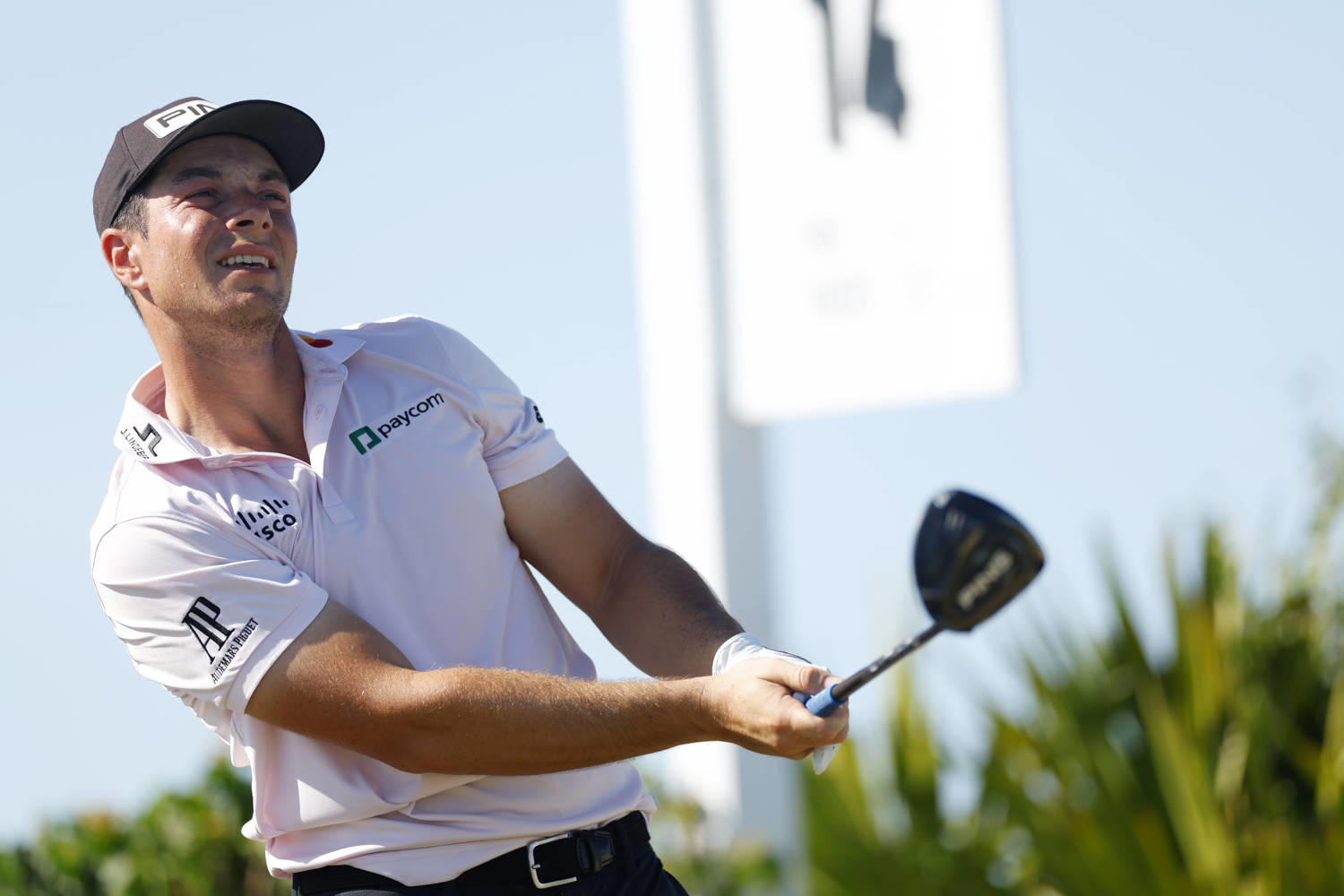 Viktor Hovland Betting Profile: The Sentry - PGA TOUR