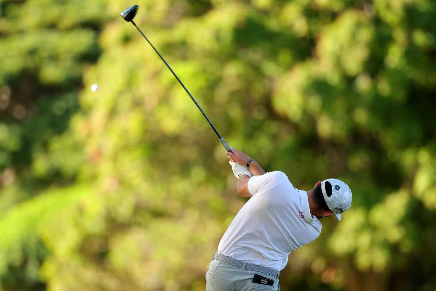 Hayden Buckley Betting Profile The American Express PGA TOUR