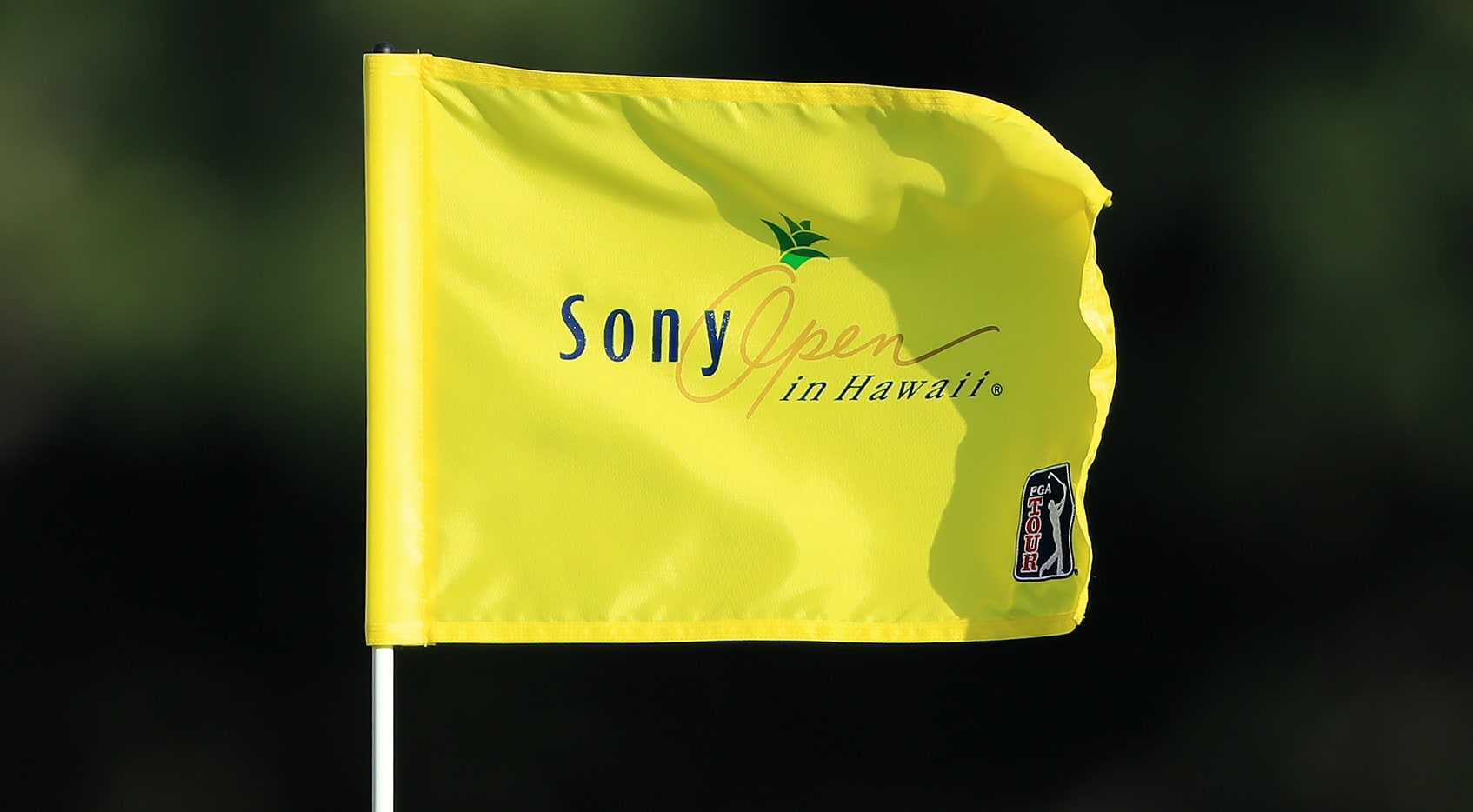 How to watch Sony Open in Hawaii, Round 1 Live leaderboard, TV times, tee times