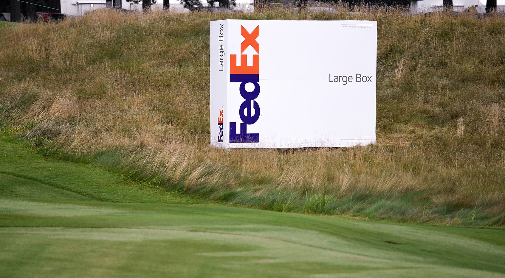 How to watch the WGC-FedEx St