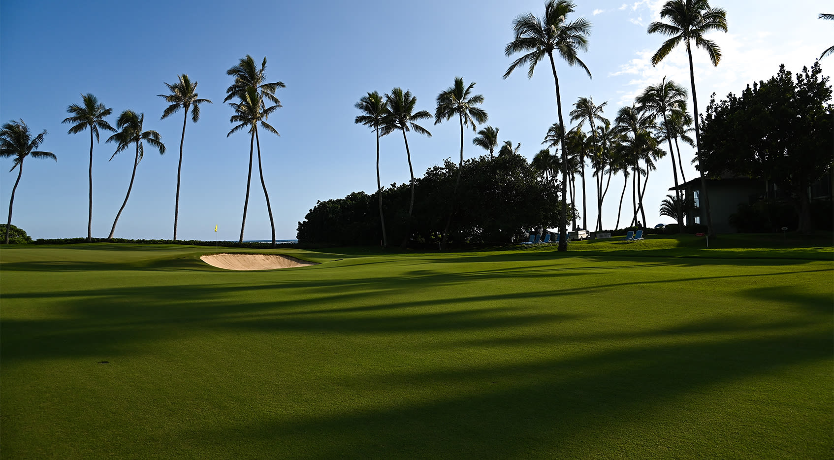 watch sony open live