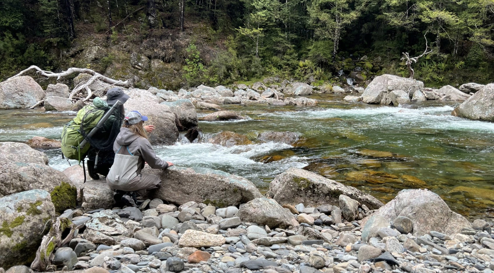 Kramer Hickok and Anne Hakula spent their long-delayed December honeymoon deep into Kahurangi National Park on New Zealand’s South Island. (Courtesy Kramer Hickok)