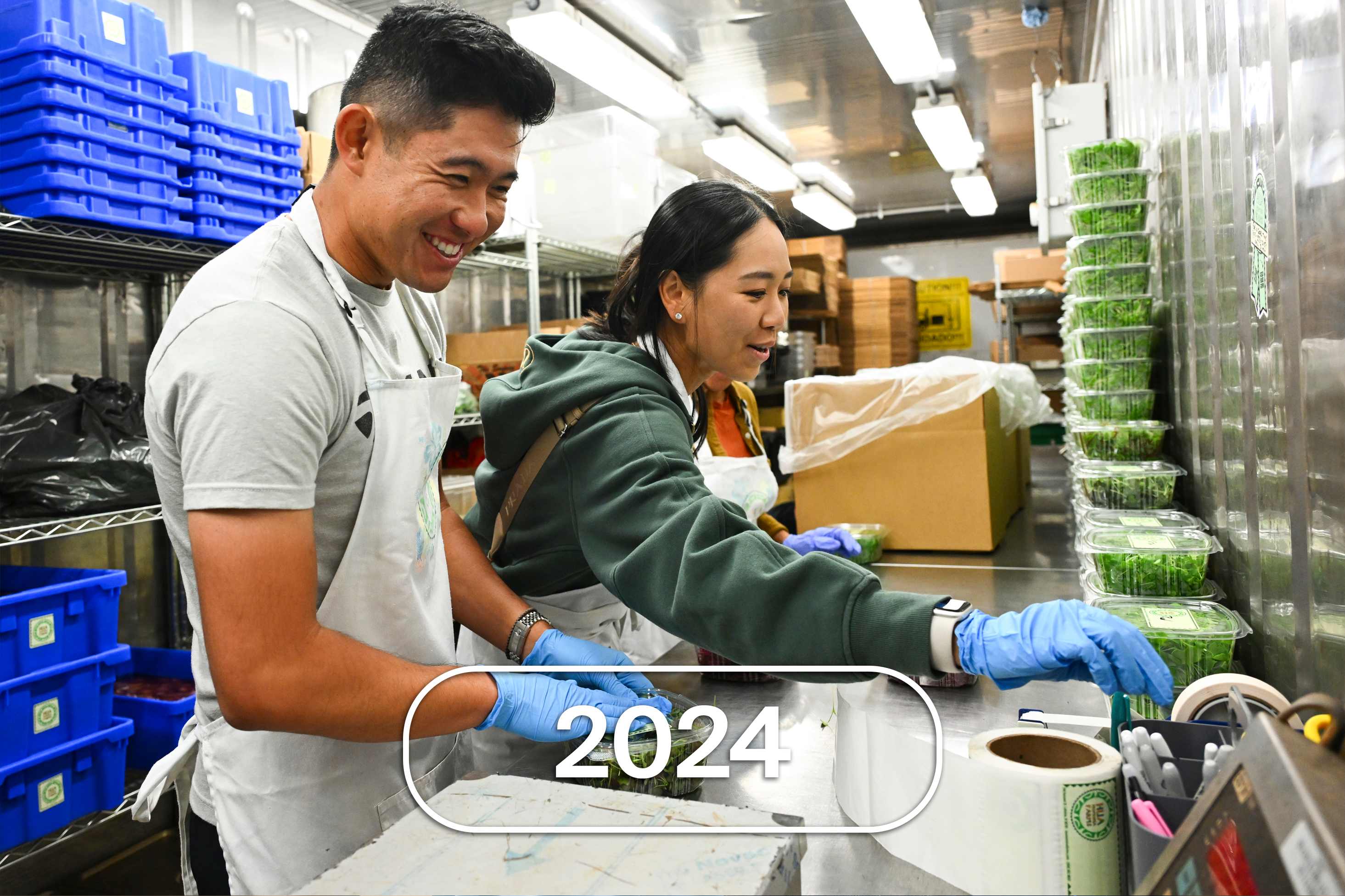 2024 report