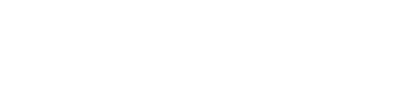 netjets
