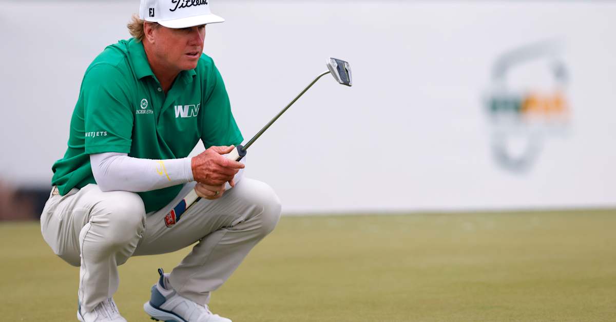Charley Hoffman betting profile: 3M Open