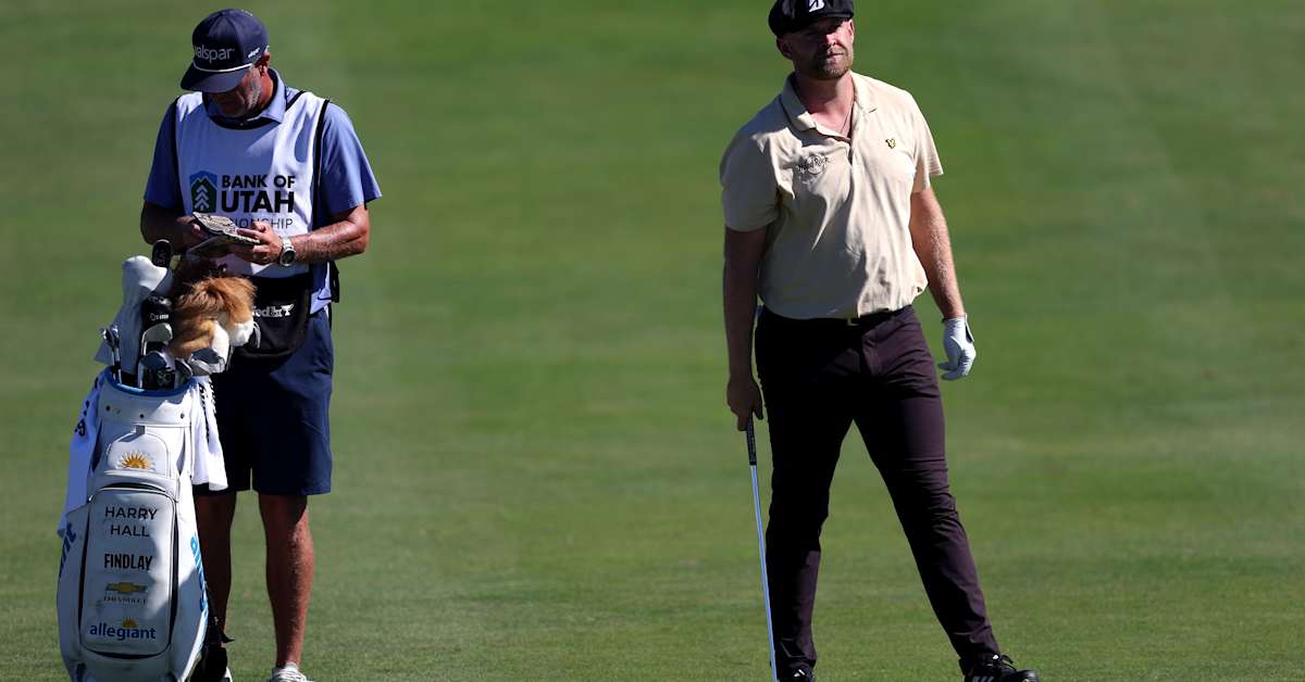 Harry Hall betting profile: VidantaWorld Mexico Open - PGA Tour