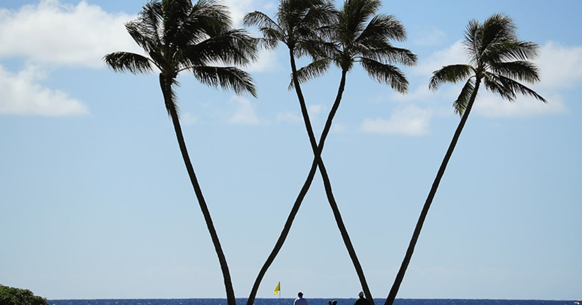 Wm Tree Beyond the Ropes: The story behind Waialae's iconic 'W' trees - PGA TOUR