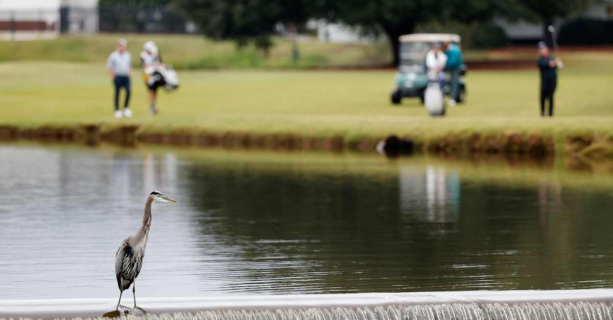 SAS Championship Storylines, how to watch, more PGA TOUR
