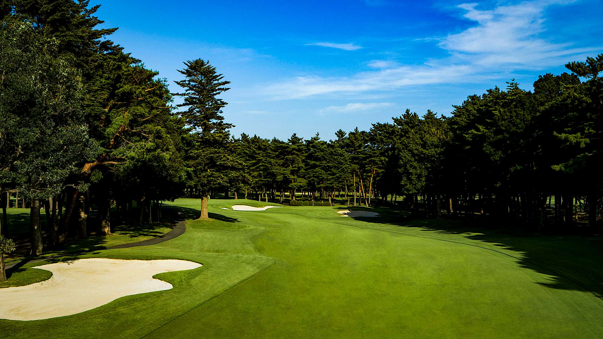 Dogleg left par 4. A good tee shot into the narrowing fairway will leave you with a short approach into the green on this relatively stress-free opening hole.  