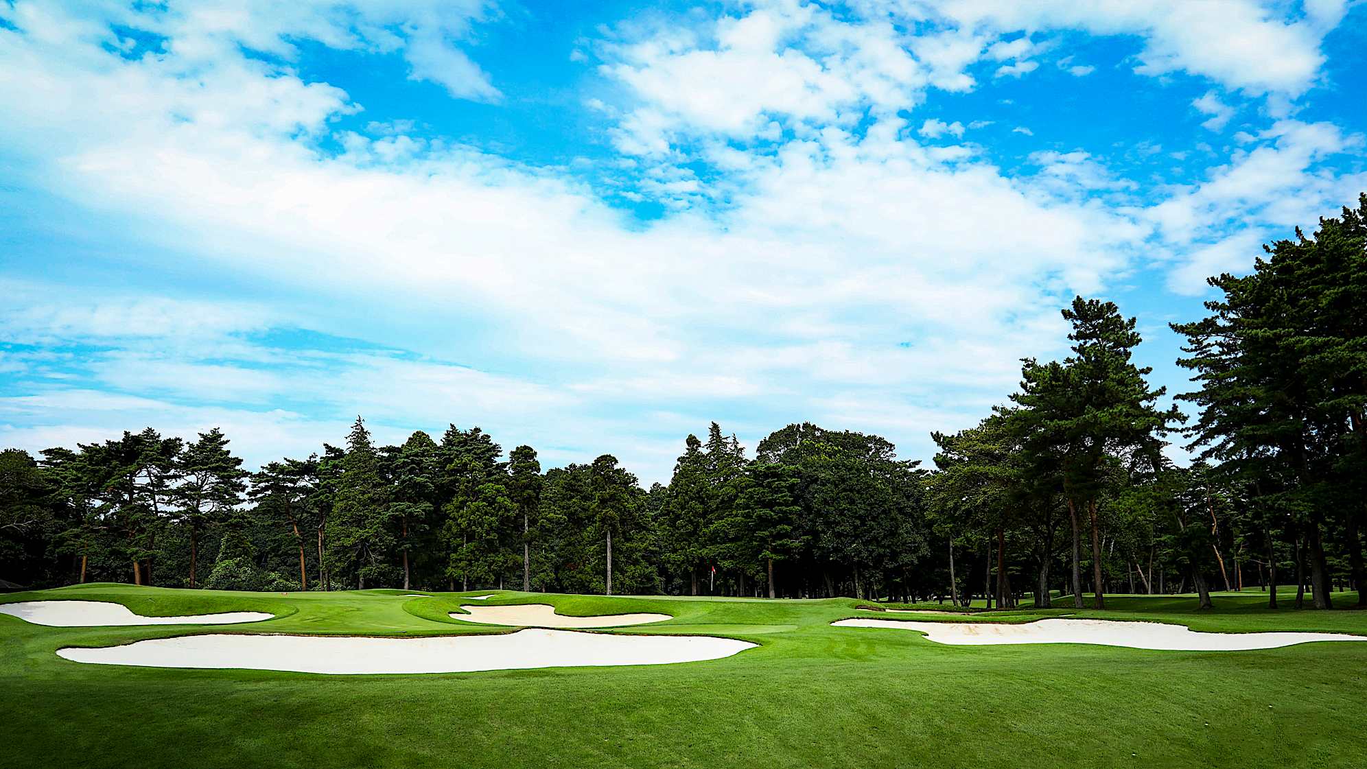 Typically played as a par 5 for members, this long par 4 starts and ends with an elevated tee box and green. The large green is surrounded by multiple bunkers, making it one of the more difficult holes on the course. 