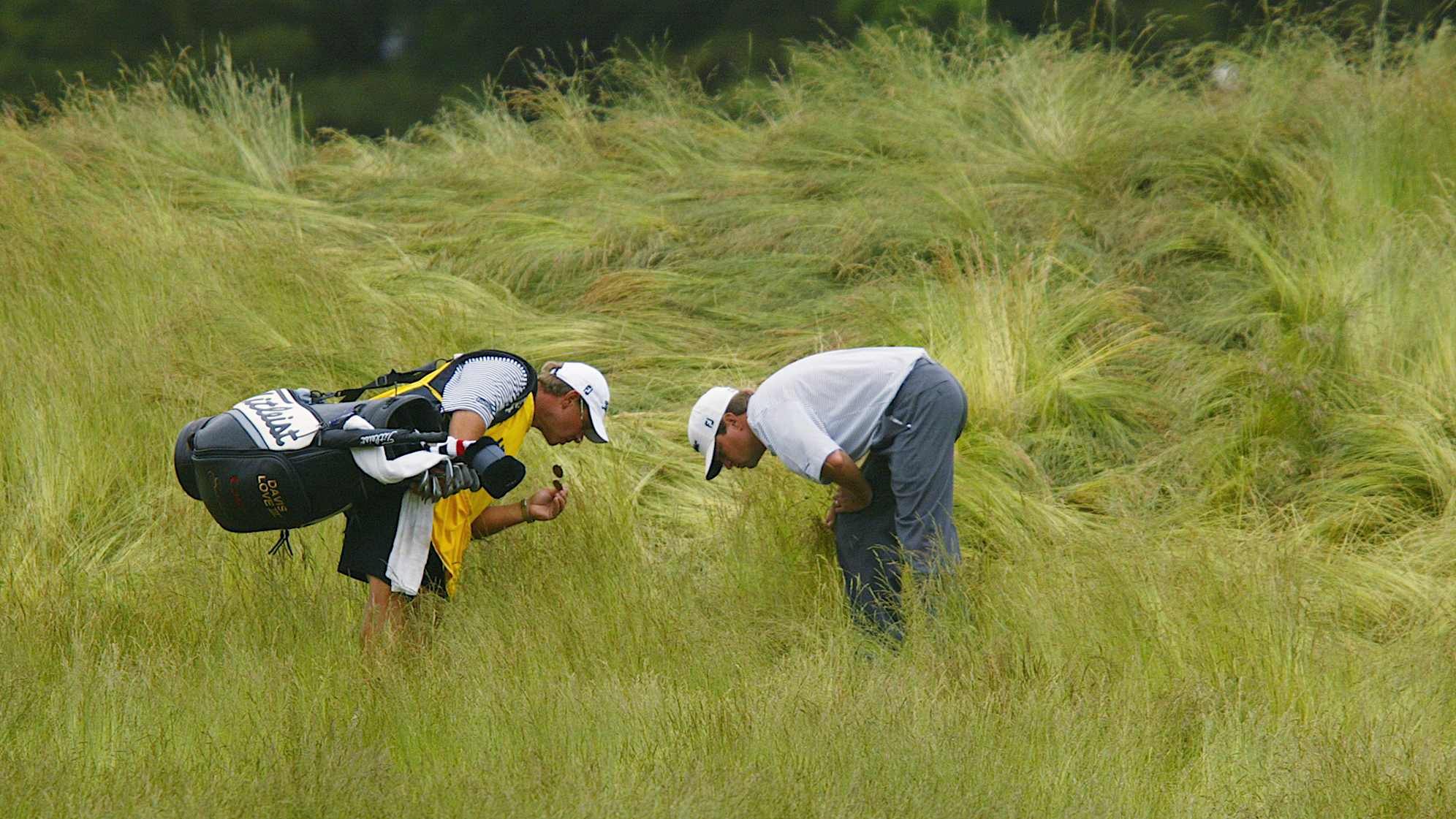 Davis Love the III searches for his ball in the deep grass on the 10th fairway during the third round of the 102nd US Open on the Black Course at Bethpage State Park. (Jamie Squire/Getty Images)