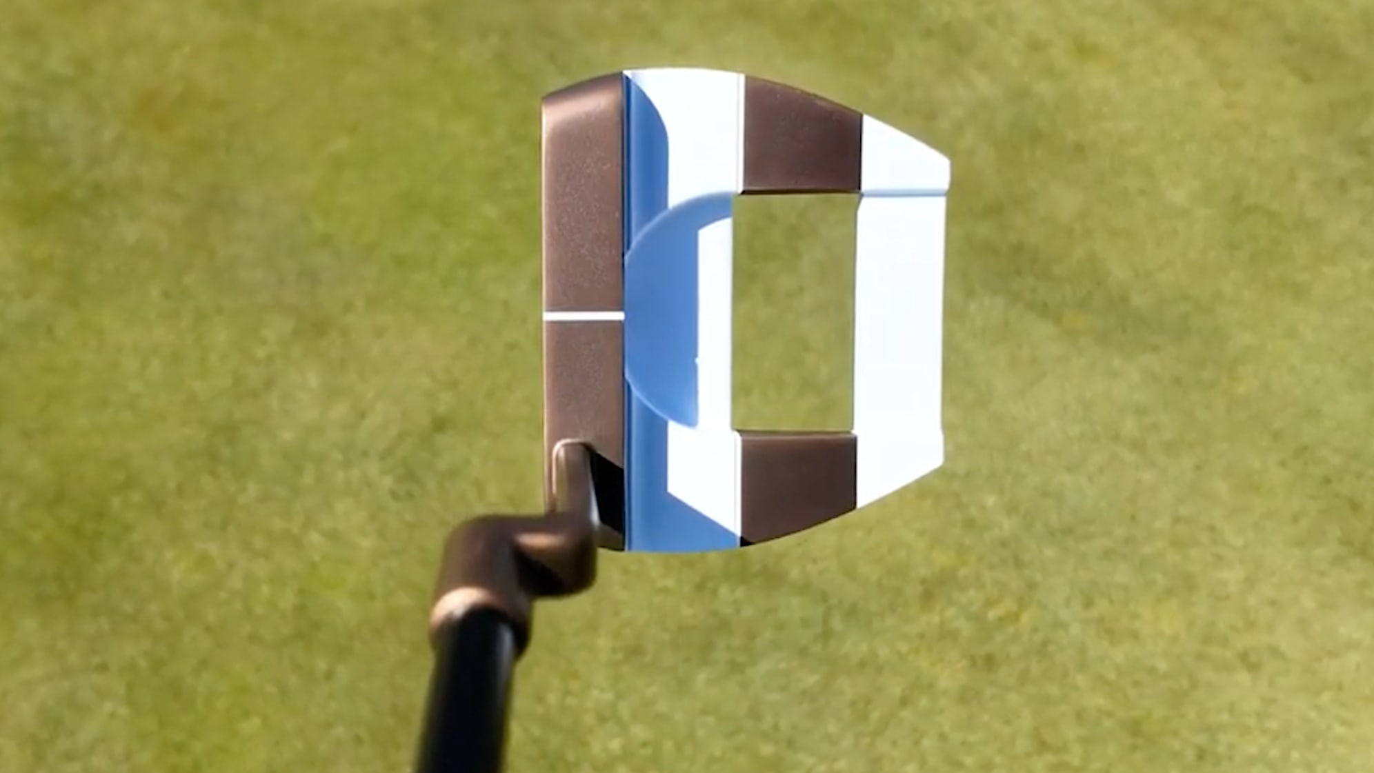 A look at address of the Ai-ONE Giraffe Beam Jailbird Mini Putter. (GolfWRX) 