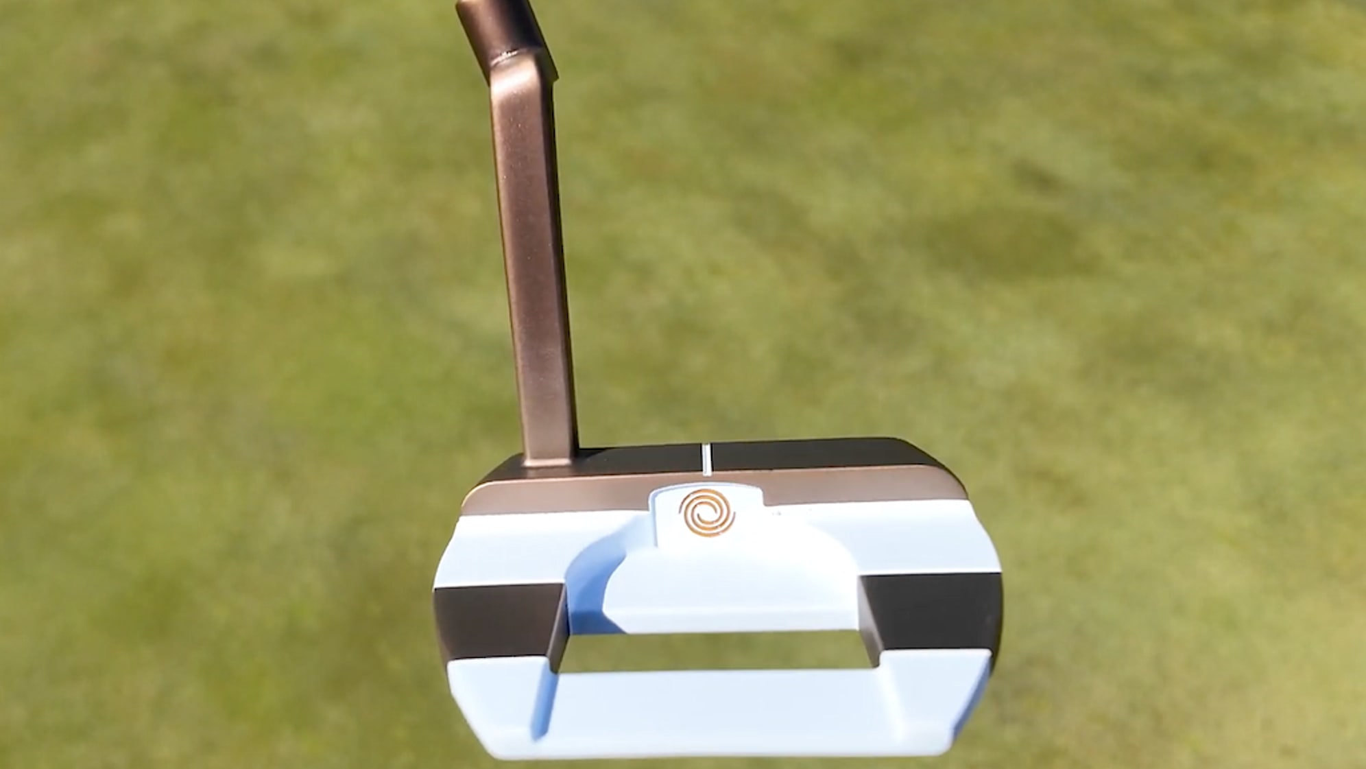 A look at the longer hosel on the Ai-ONE Giraffe Beam Jailbird Mini Putter. (GolfWRX) 