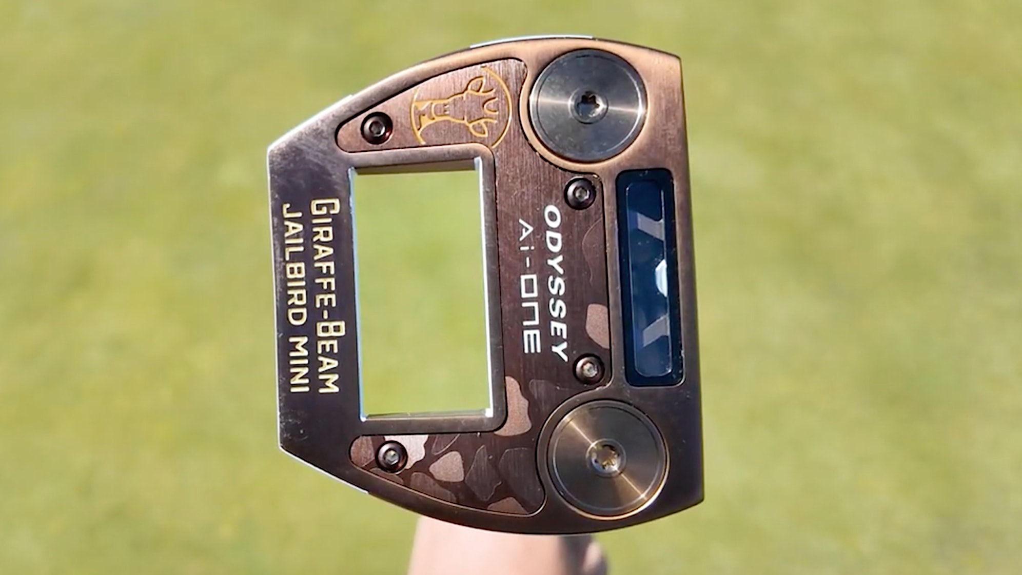 A look at the Ai-ONE Giraffe Beam Jailbird Mini Putter. (GolfWRX) 