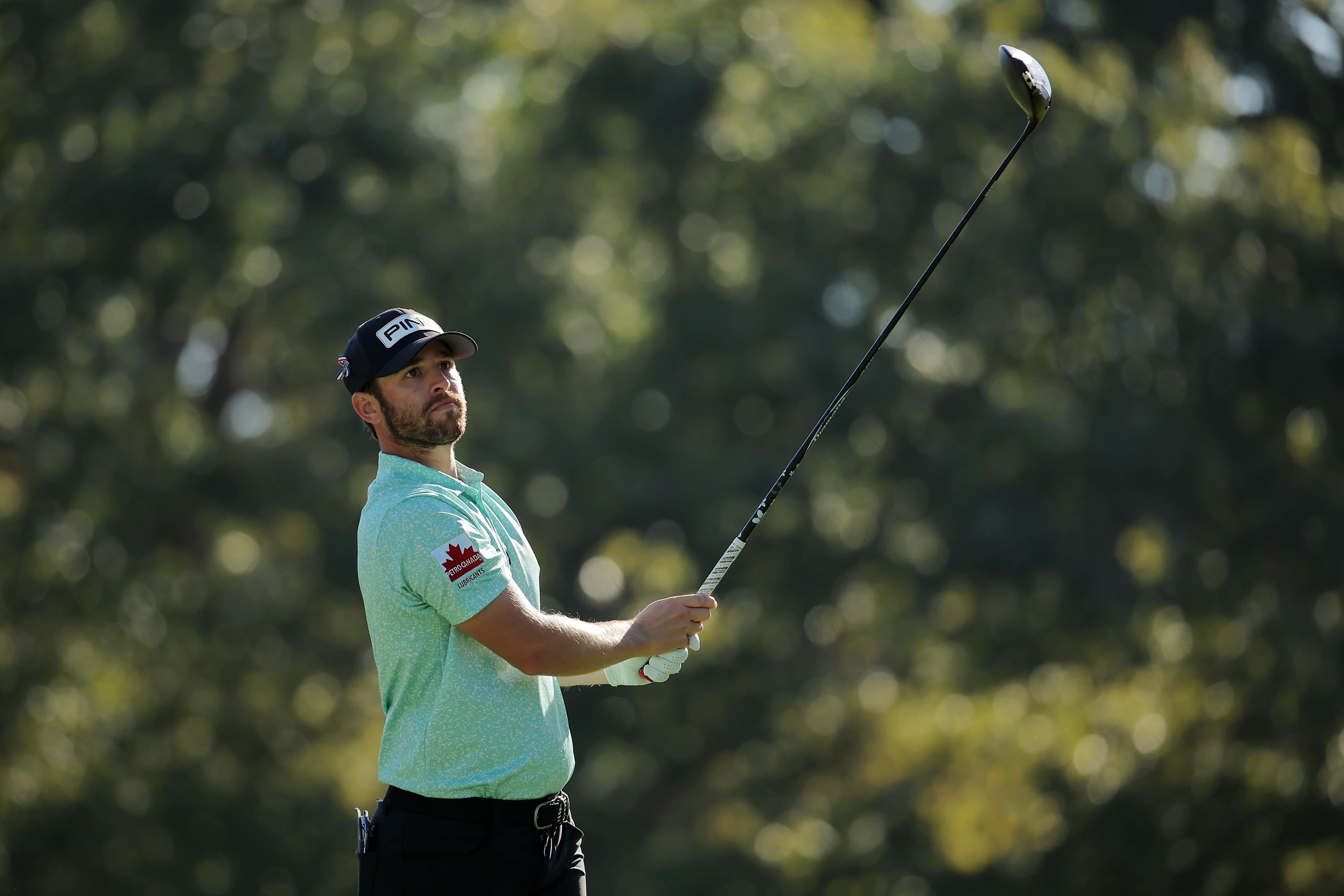 Harrison Endycott betting profile: Butterfield Bermuda Championship