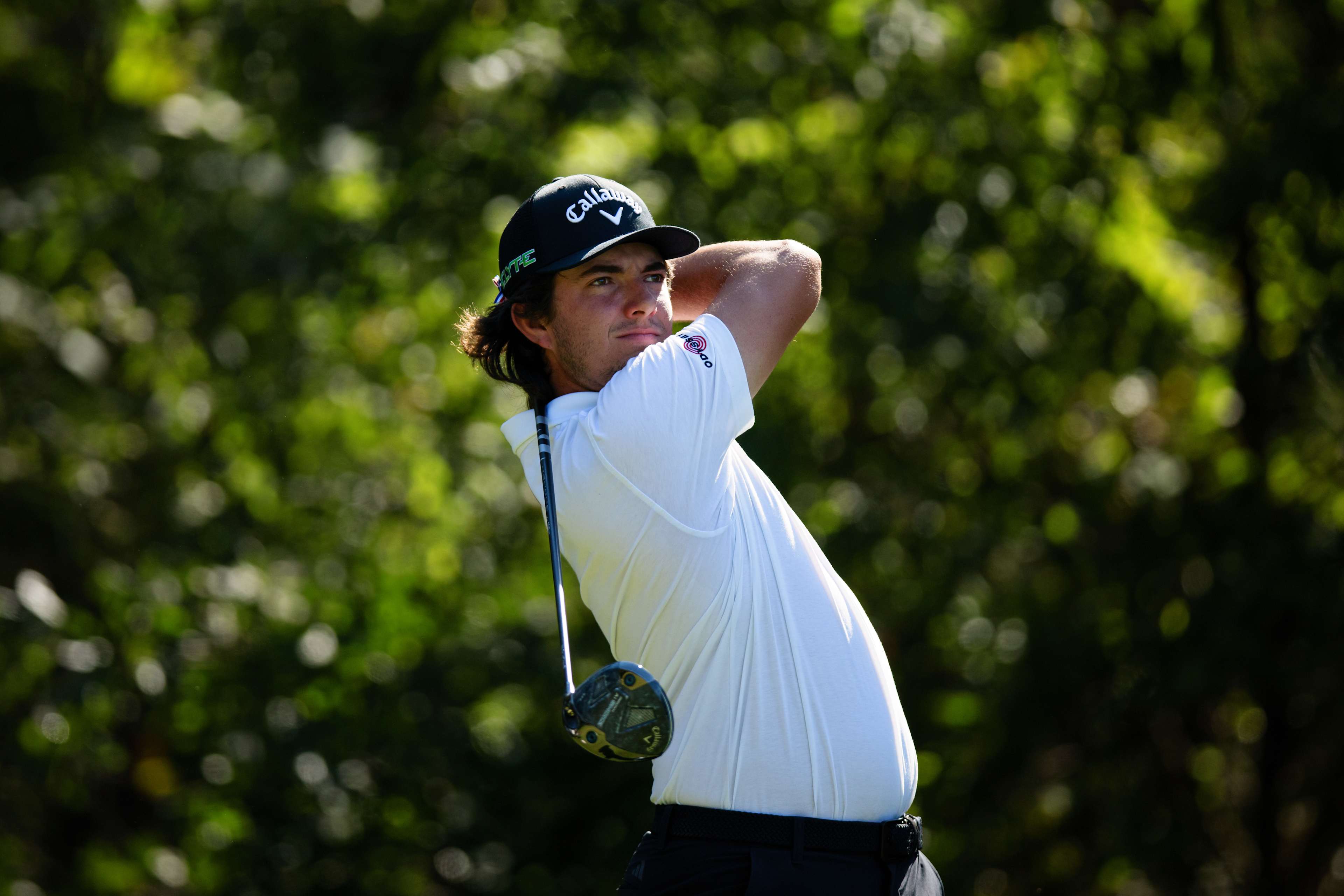 Brendan Valdes betting profile: The RSM Classic