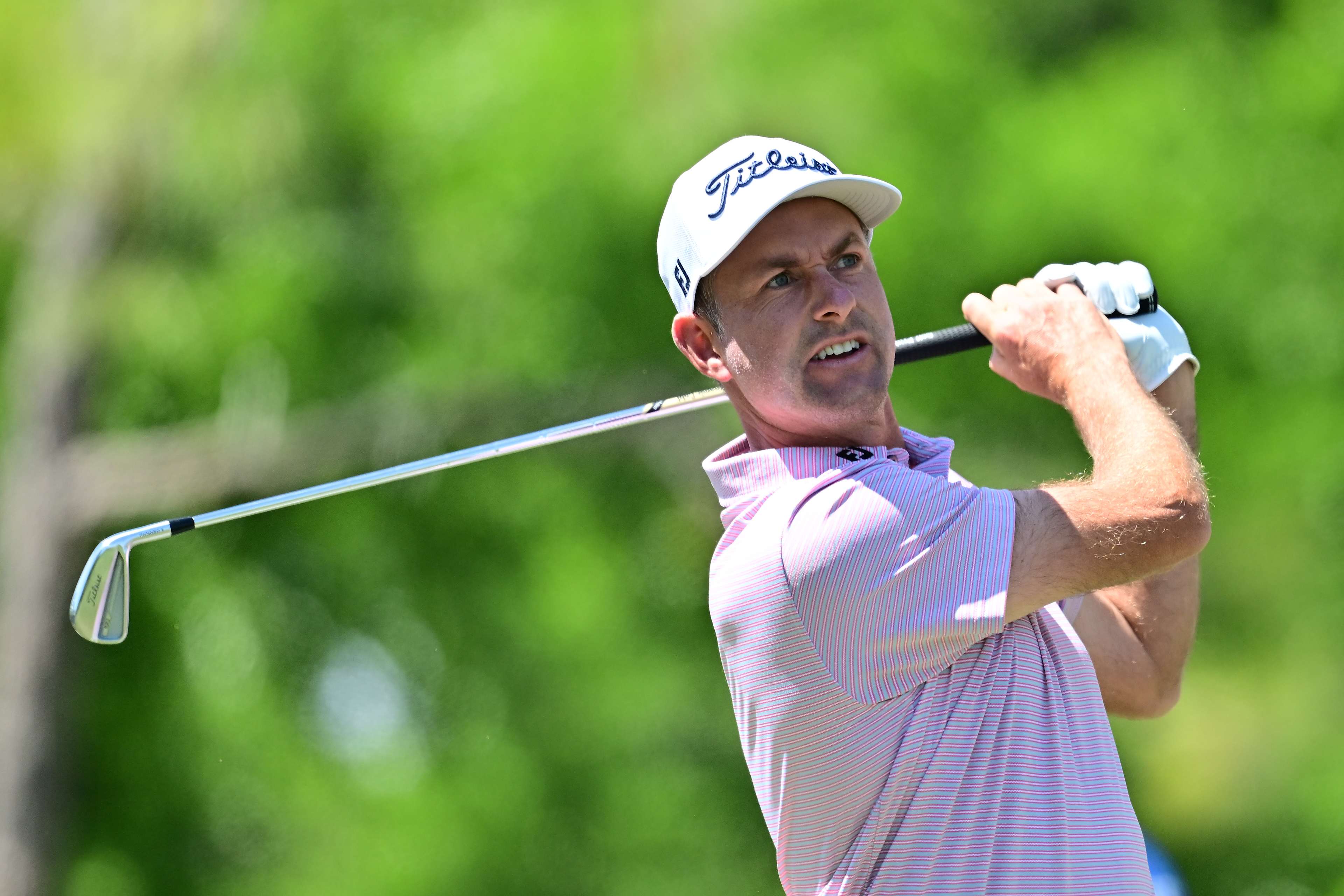 Webb Simpson betting profile: Charles Schwab Challenge
