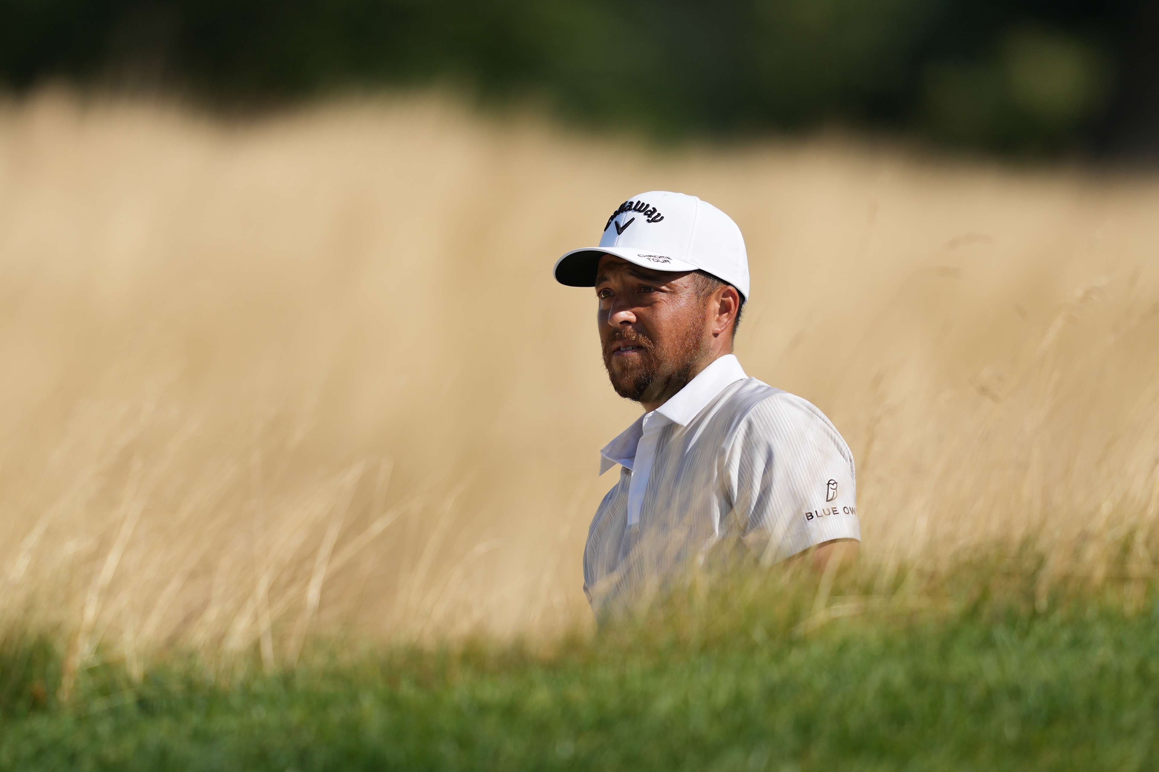 Xander Schauffele betting profile: FedEx St. Jude Championship