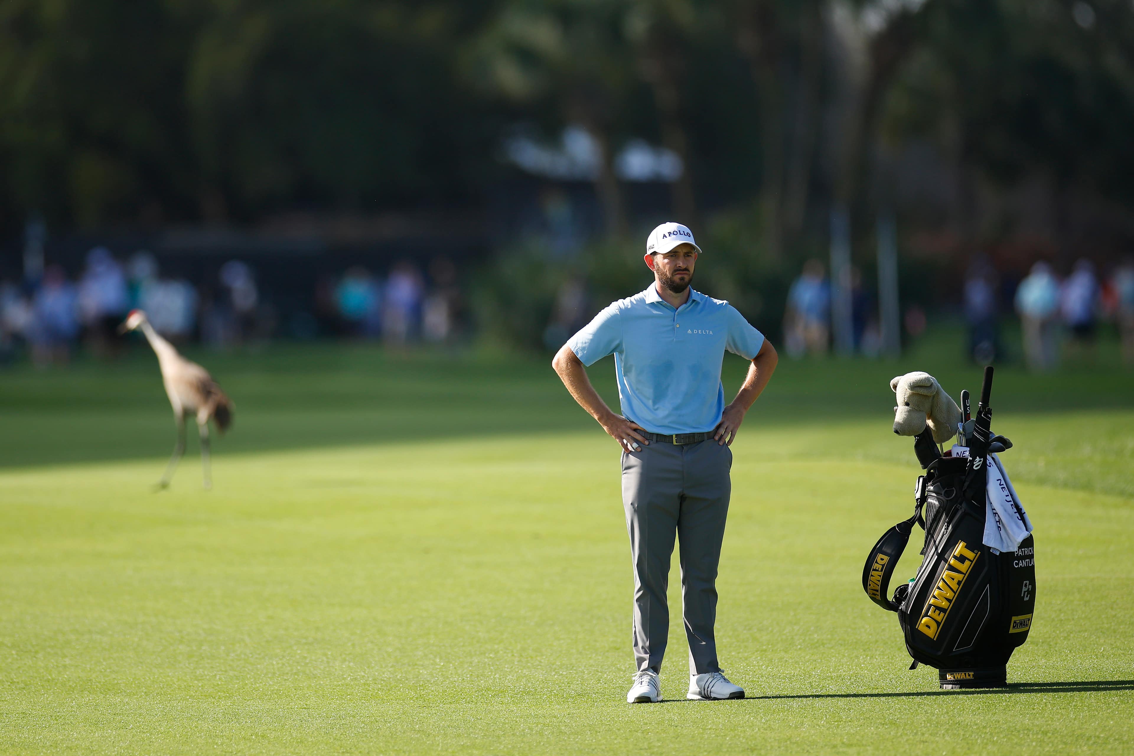 Patrick Cantlay betting profile: Masters Tournament