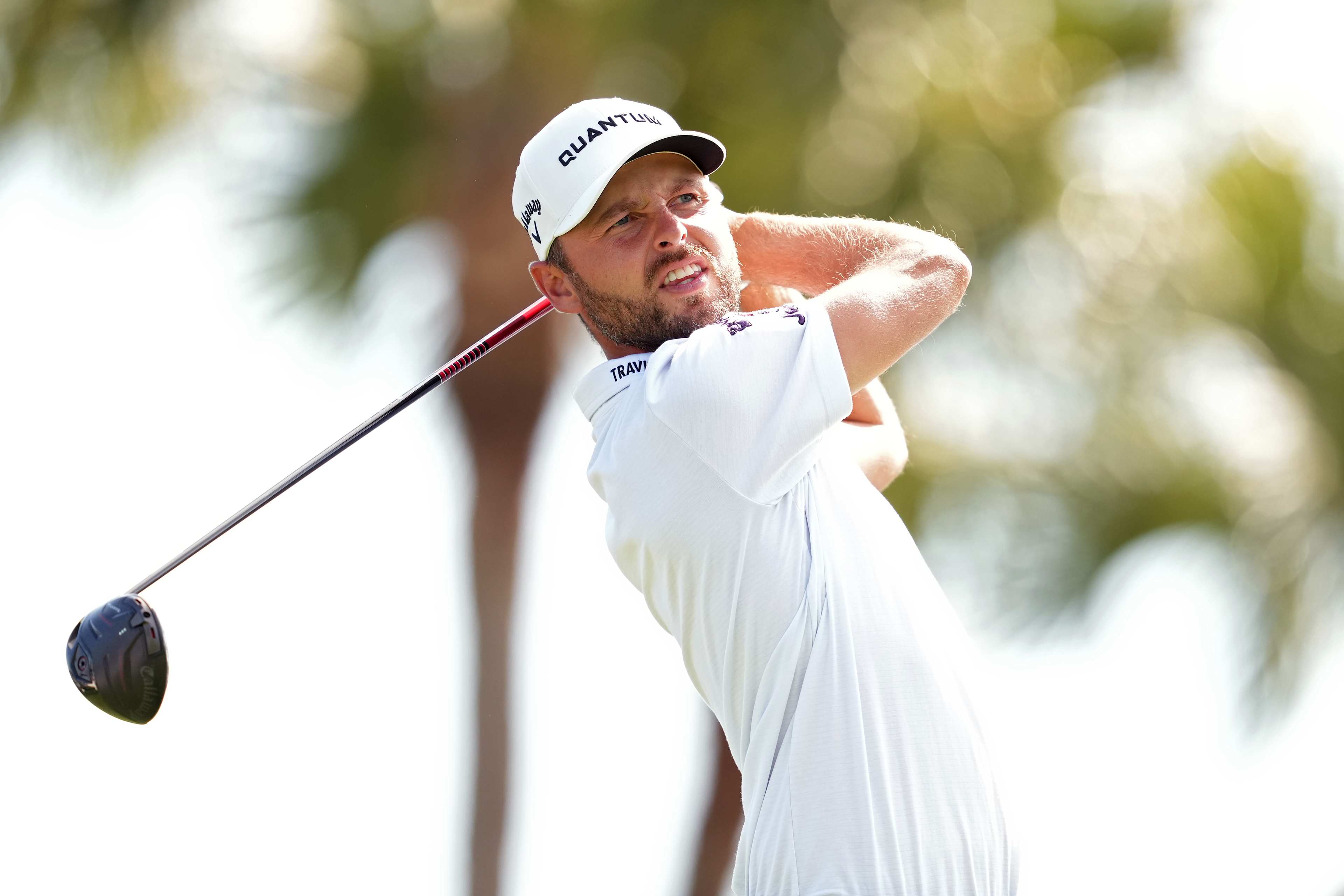 Adam Svensson betting profile: Puerto Rico Open