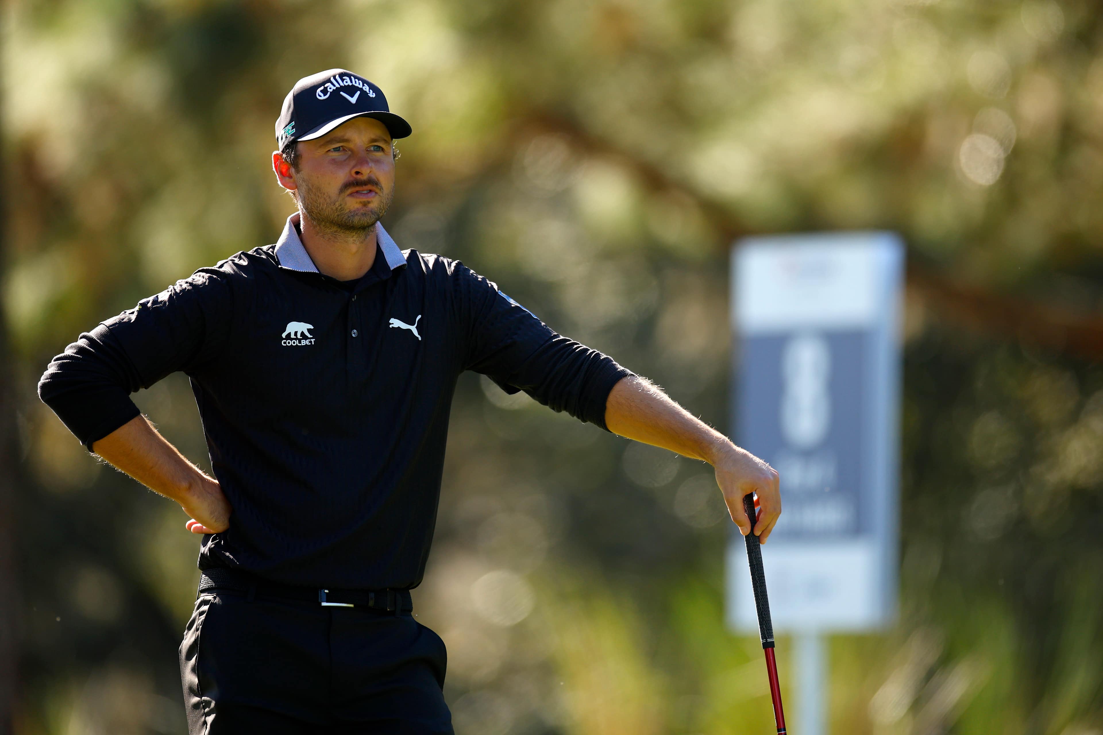 Adam Svensson betting profile: Sony Open in Hawaii