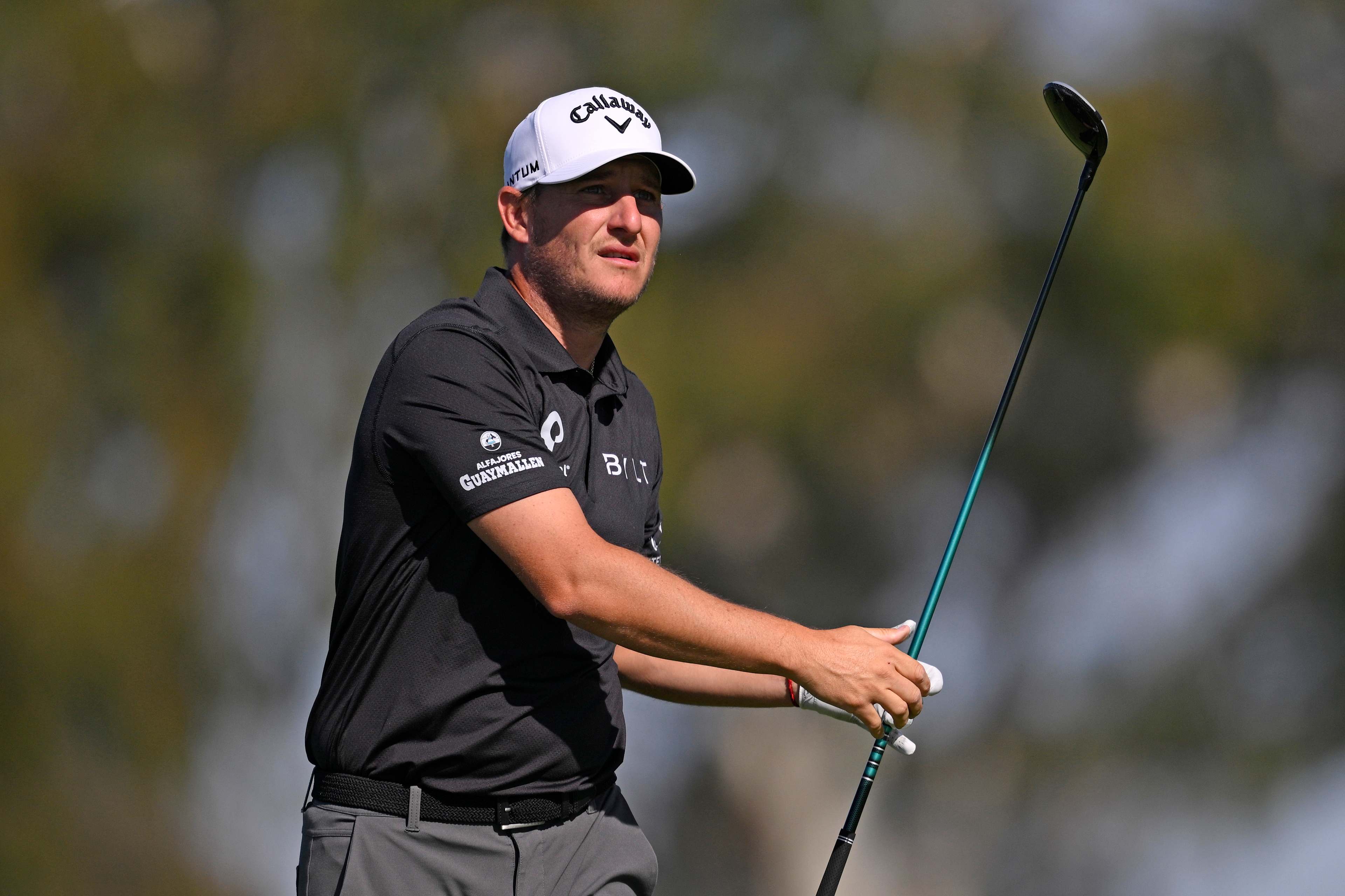 Emiliano Grillo betting profile: Texas Children's Houston Open