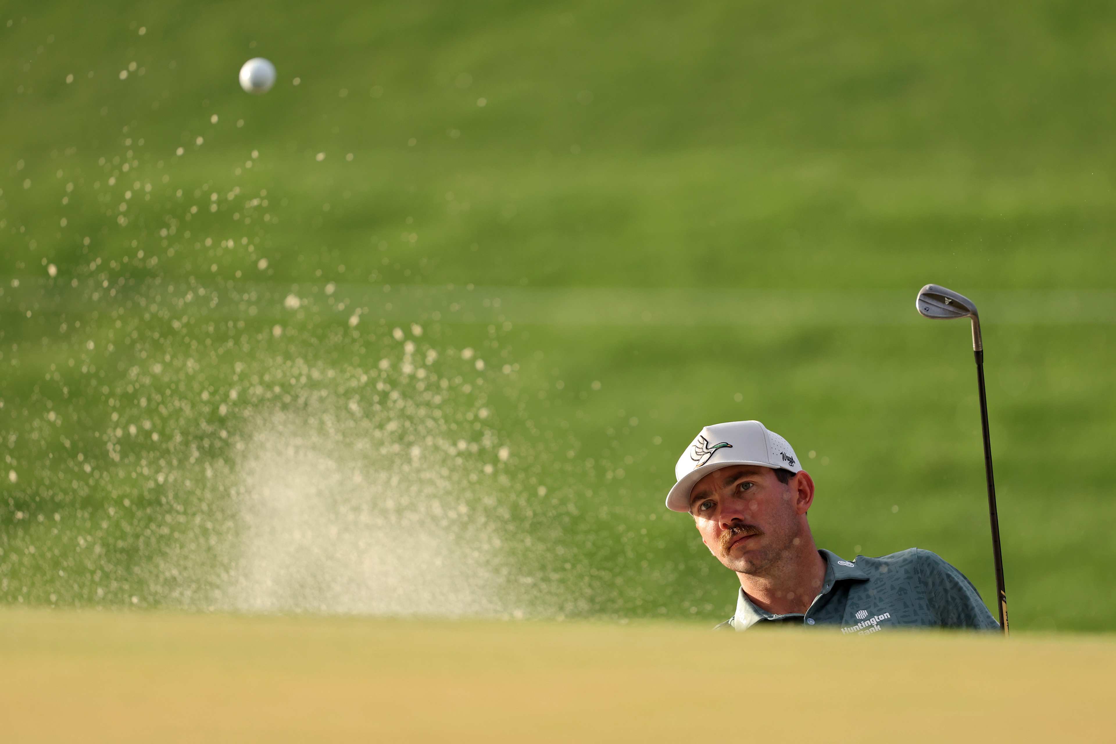 Chandler Phillips betting profile: Texas Children's Houston Open