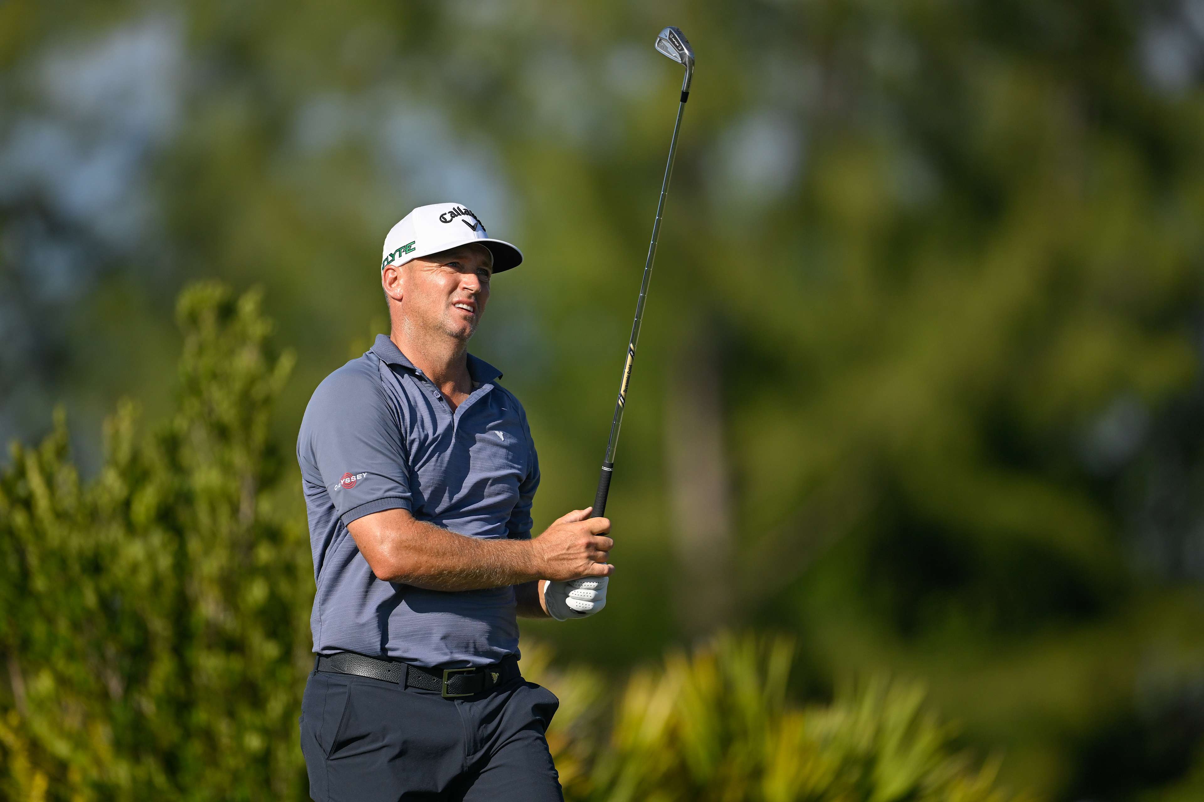 Alex Noren betting profile: The American Express