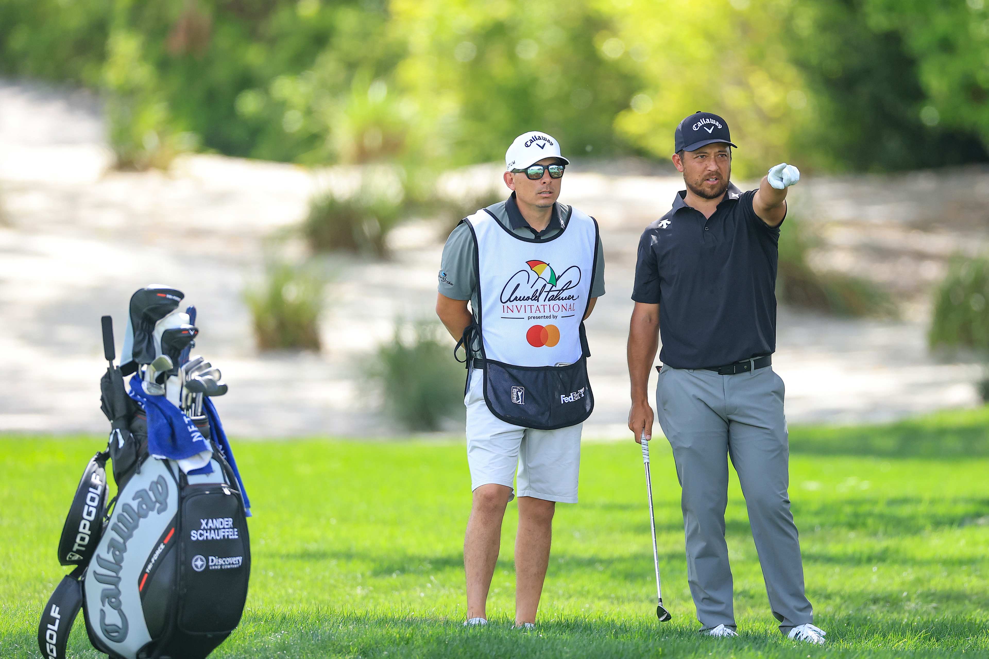 Xander Schauffele betting profile: THE PLAYERS Championship