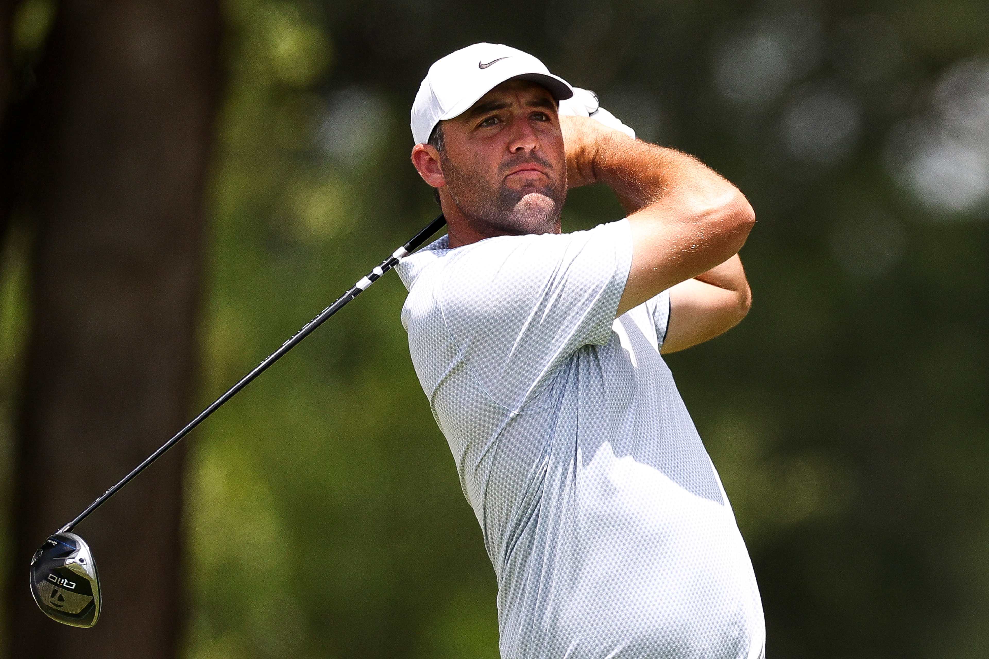 Scottie Scheffler betting profile: Travelers Championship
