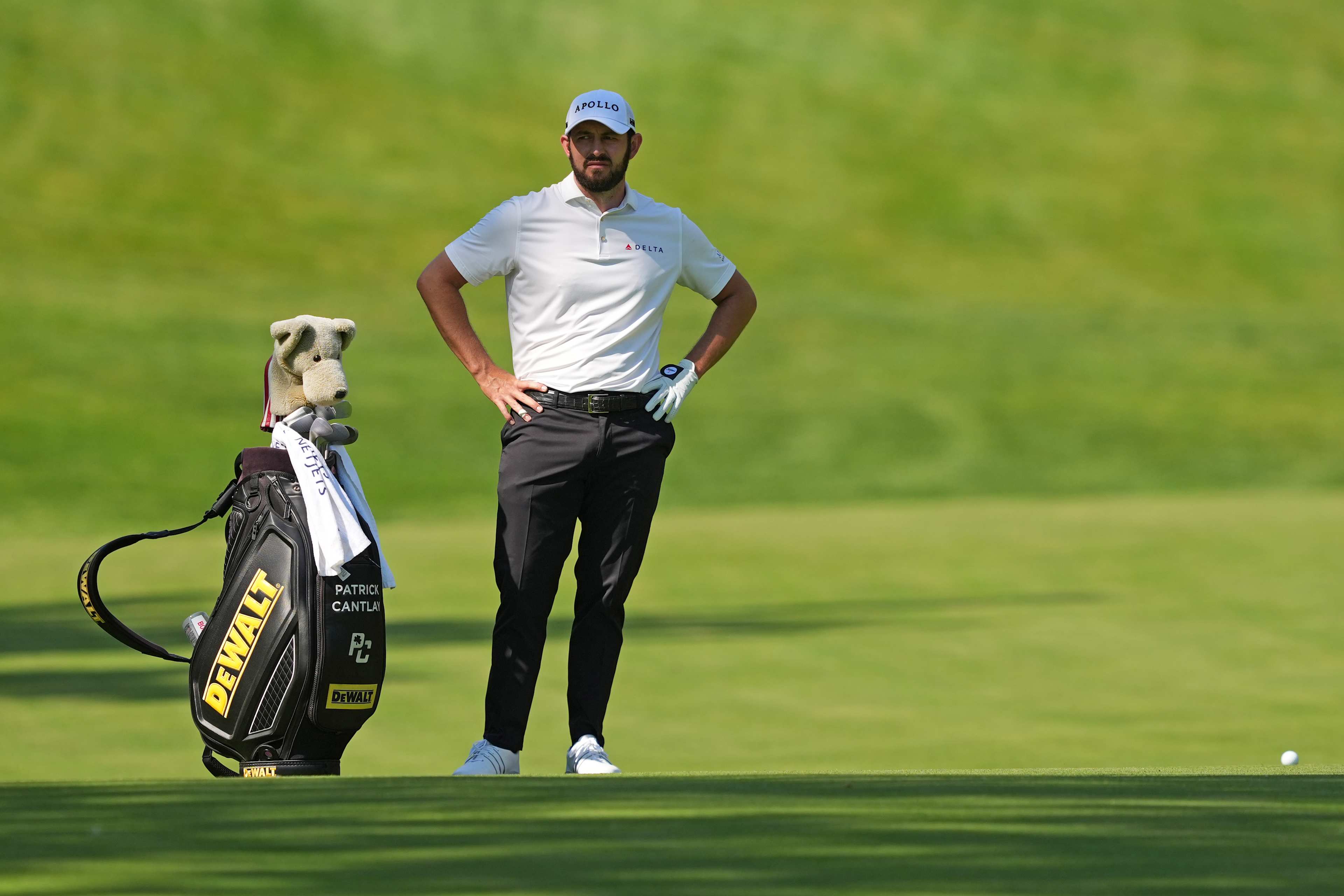 Patrick Cantlay betting profile: Travelers Championship