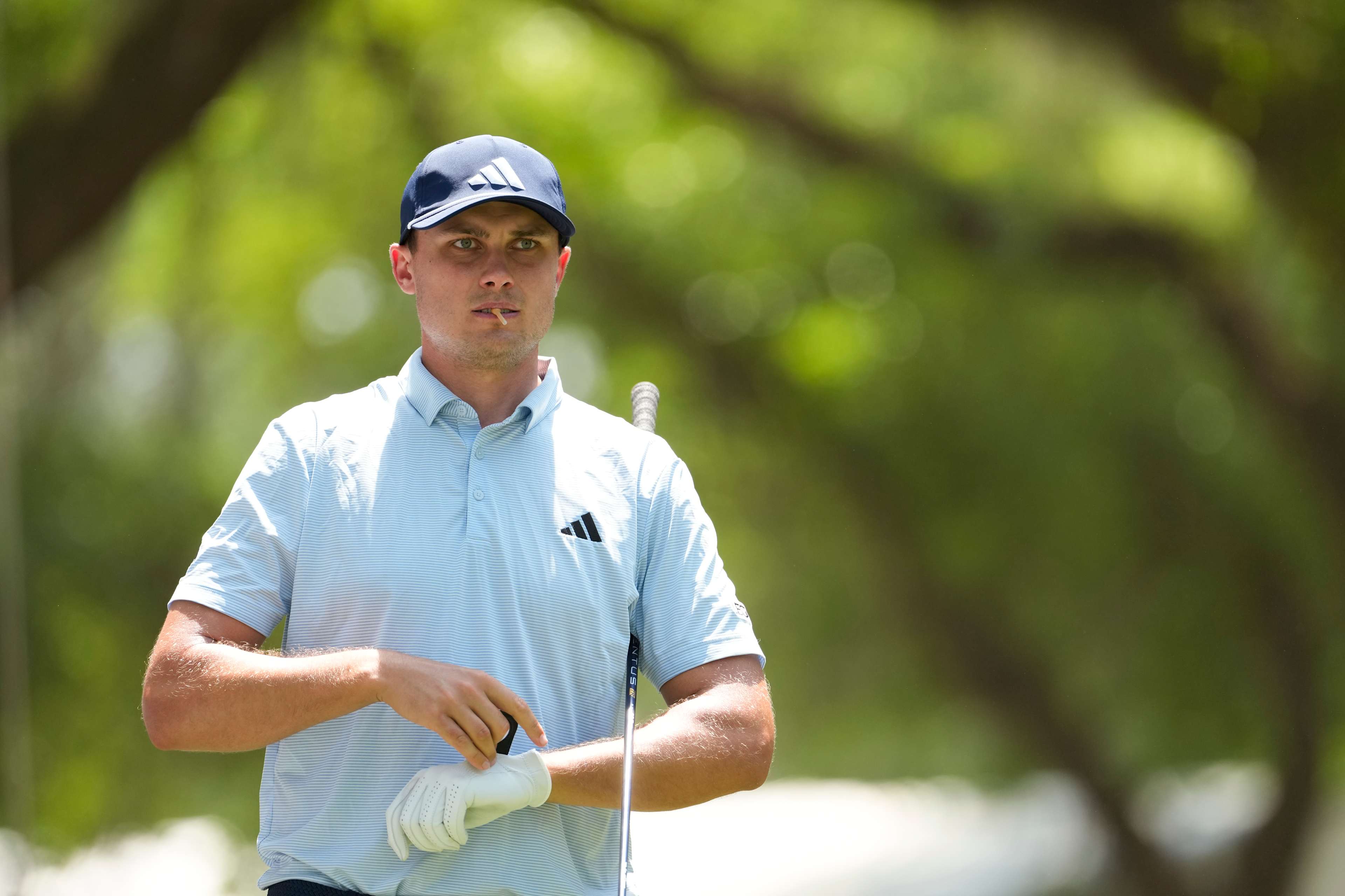 Ludvig Åberg betting profile: Truist Championship